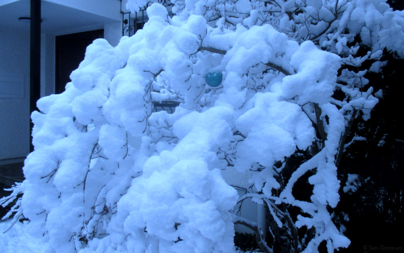 Schnee und ein letzter Mohikaner